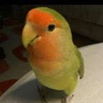 Zeyda