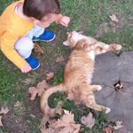 Serdar
