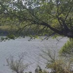 Sadık