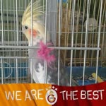 Profil fotoğrafı