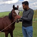 Burak
