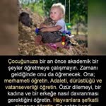 Gürkan