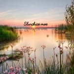 Meral
