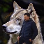 Türkoğlu
