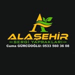 Alaşehir