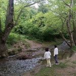 Özgüremriye