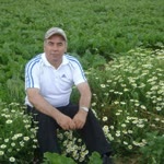Safi