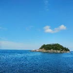 Selman