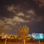 Veysel