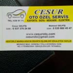 Cesur