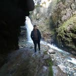 Halit