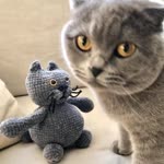 Hülya