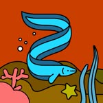 Zeynepp