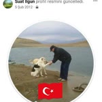 Suat