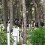Davut