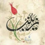 Hasnaı