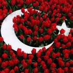 Rabia