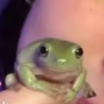 Ege