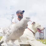 Serkan