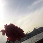 Ceylan