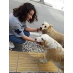 Ayşenur