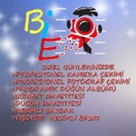 Bie