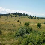 Sakaryalı