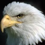 Kartal