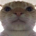 Ama