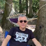 Şahin