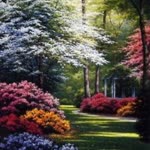 Gökmen