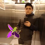 Orhan