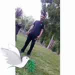 Gürbüz