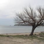 Cengizhan