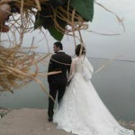 Cihat