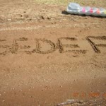 Seda