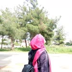 Sude