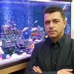 Cengiz
