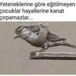 Sarfınazar
