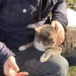 Serdar