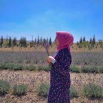 Reyhan
