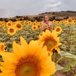 Ayten