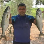 Caner