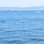 Halil