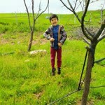 Profil fotoğrafı