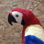 Ferdi