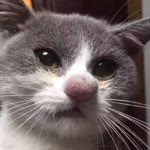 Alaz
