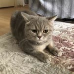Zahid