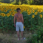 Arif