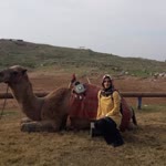 Profil fotoğrafı